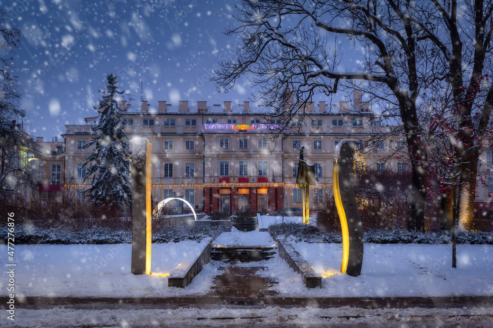 波兰普鲁什茨-格但斯基市中心的冬季公园，雪夜
