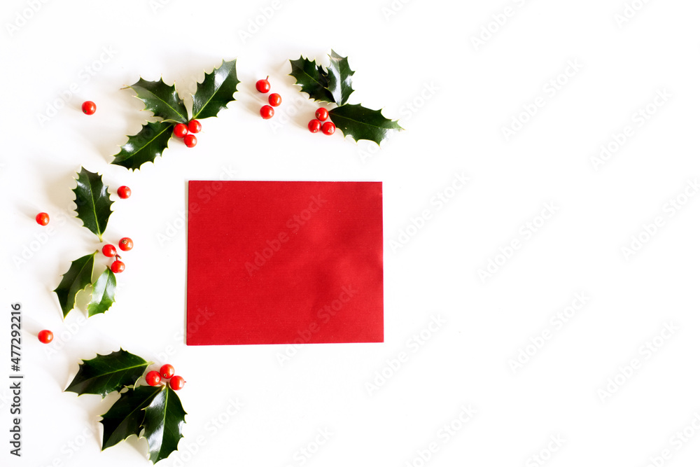 白色背景上的圣诞冬青花装饰。带有红色浆果的常青叶邀请，