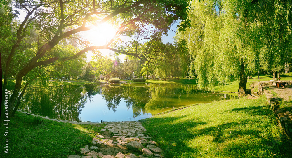美丽多彩的夏春自然景观，公园里的一个湖泊被绿叶环绕o