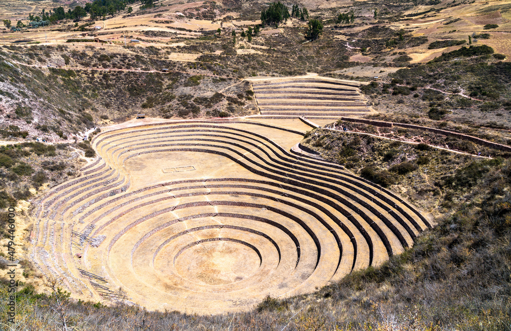 秘鲁圣谷马里的农业梯田
