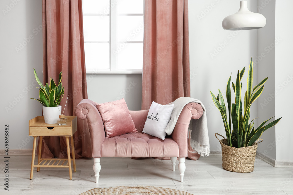 带粉色扶手椅和室内植物的浅色房间内部