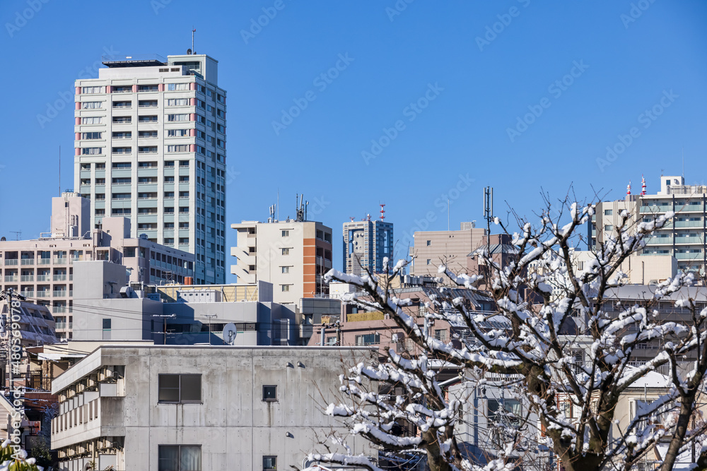 東京の街に降り積もった雪と綺麗な青空