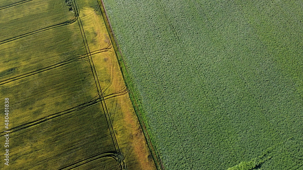 无人机在不同农田上空观看飞行，播种着各种农村农业秸秆