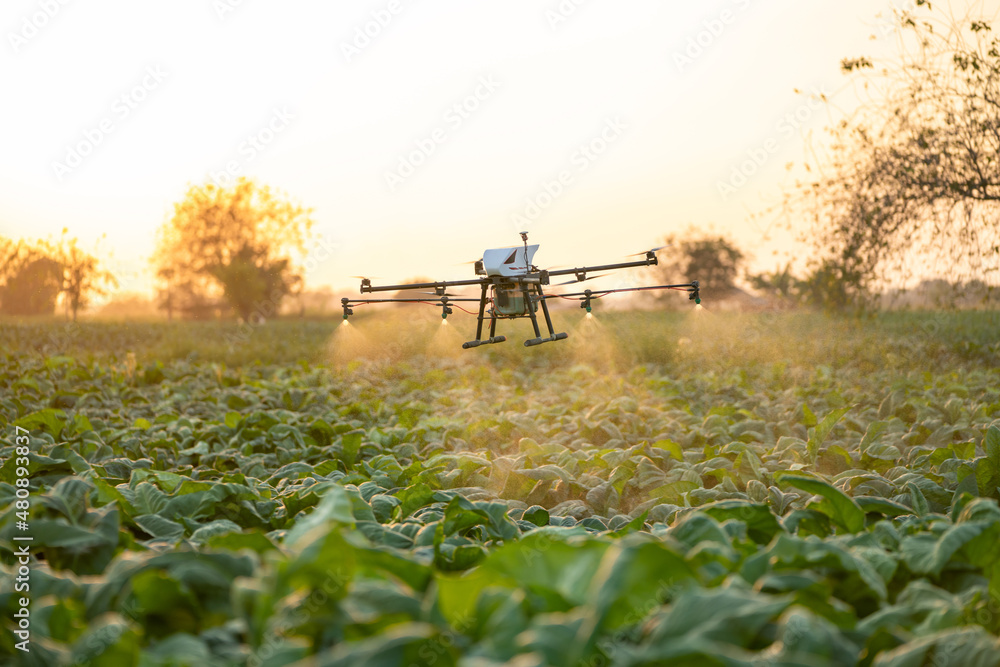 农业无人机飞到烟草地施肥，农业技术无人机