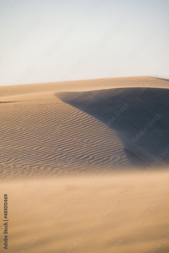 日落和强风期间的沙丘。沙漠中的夏季景观。炎热的天气
1068799660,穿着休闲服的女人的背影。女孩站在姿势里看着什么。年轻的女性ch