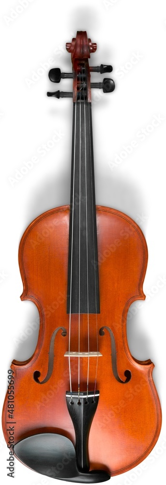 A classical musical instrument violin