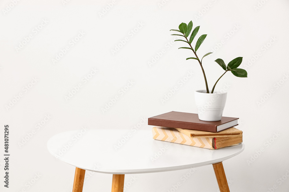 白色咖啡桌，靠近浅色墙壁，配有室内植物和书籍