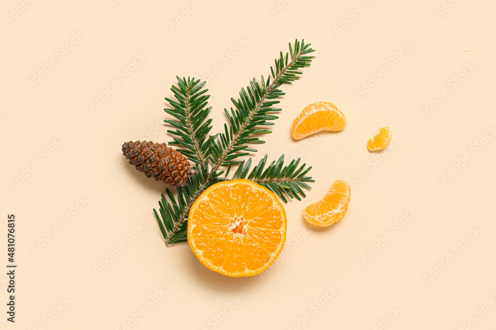 Composition with tangerine, fir branch and cone on color background