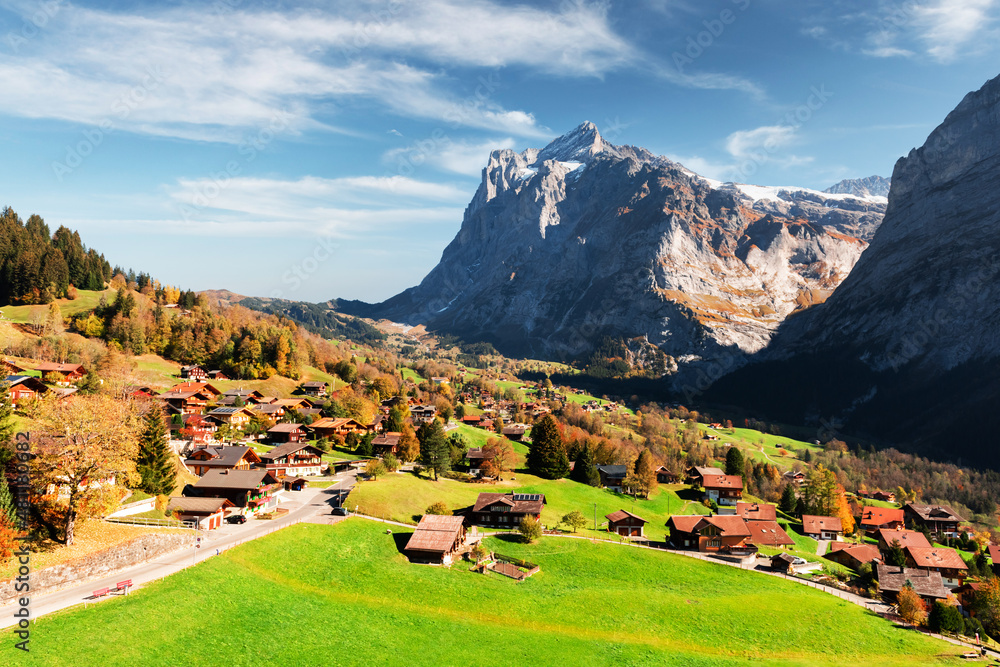 瑞士山区秋景如画。格林德瓦尔的黄叶和木屋