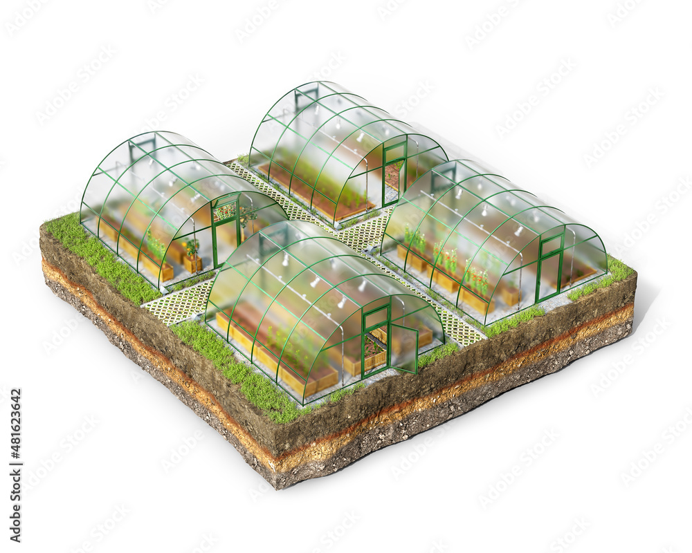 许多温室位于一块地上，在白色背景上隔离，3d插图