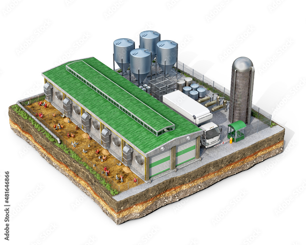 Compact chicken factory including building, silos, truck and chicken enclosure is located on a piece