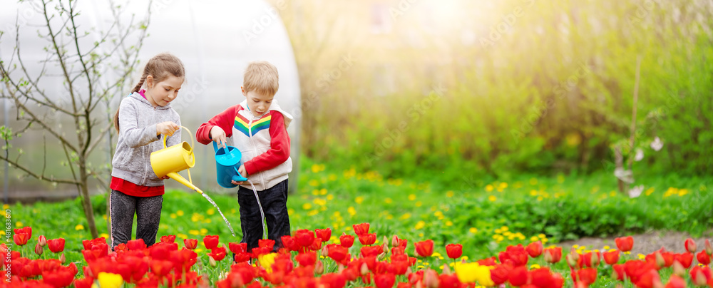 两个可爱的孩子在花园里浇花