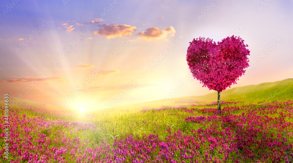 春天的爱之树。日落时的红色心形树。美丽的风景和鲜花。爱的背影