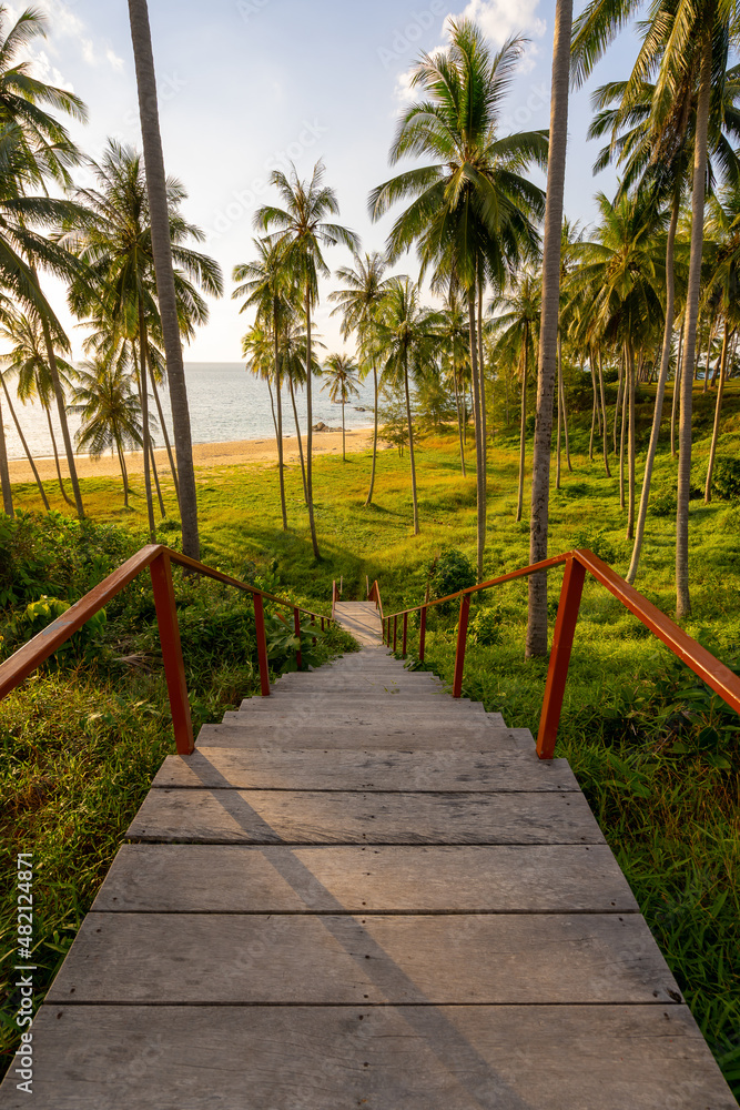 日落或日出时的椰子树剪影海上的天空令人惊叹的轻盈自然多彩的陆地