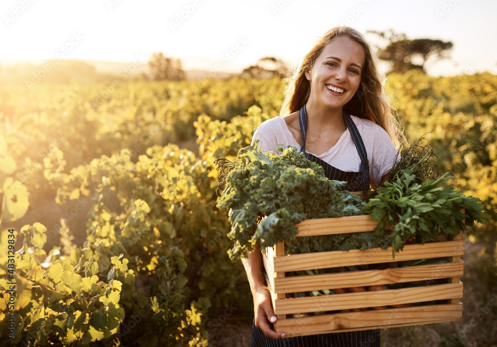 Grow your food organically. Shot of a young woman holding a crate full of freshly picked produce on 