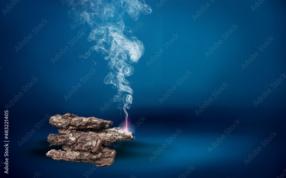 Palo santo incense stick on a dark background. A sacred stick of wood burning with aromatic smoke.
