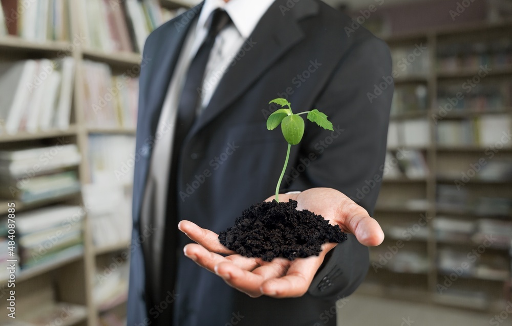 幸福梦幻的年轻经理手持绿色小植物，象征着开发新的成功产品