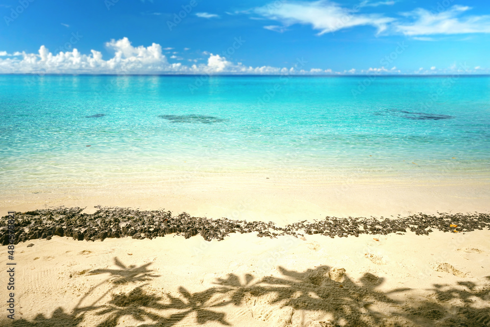 热带金色海滩的夏季景观。棕榈树在沙滩上乘凉。沙滩的过渡