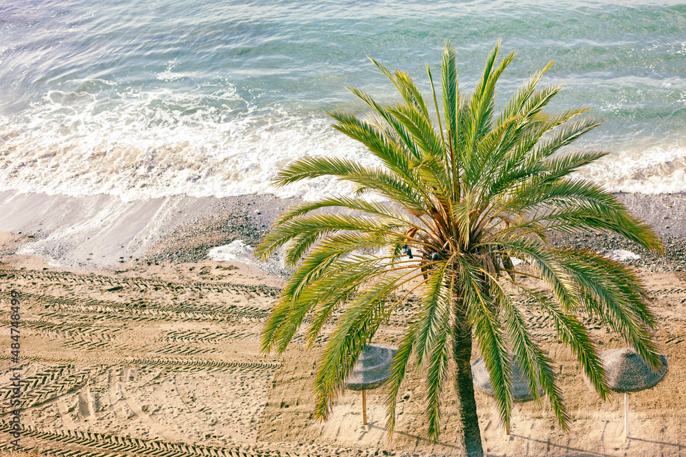 西班牙1月的马贝拉海滩