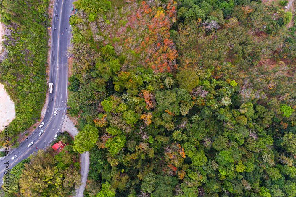 秋季森林中山路鸟瞰图曲线路无人机俯视图彩色l