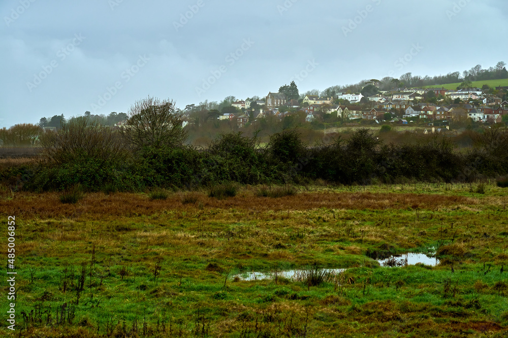 Brading town viewed from the marshes