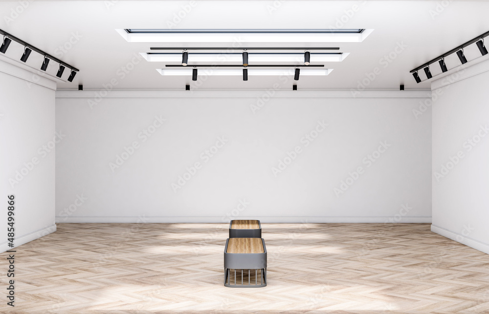 阳光明媚的空展厅，经典的室内设计：空白的白色墙壁和天花板，黑色的聚光灯