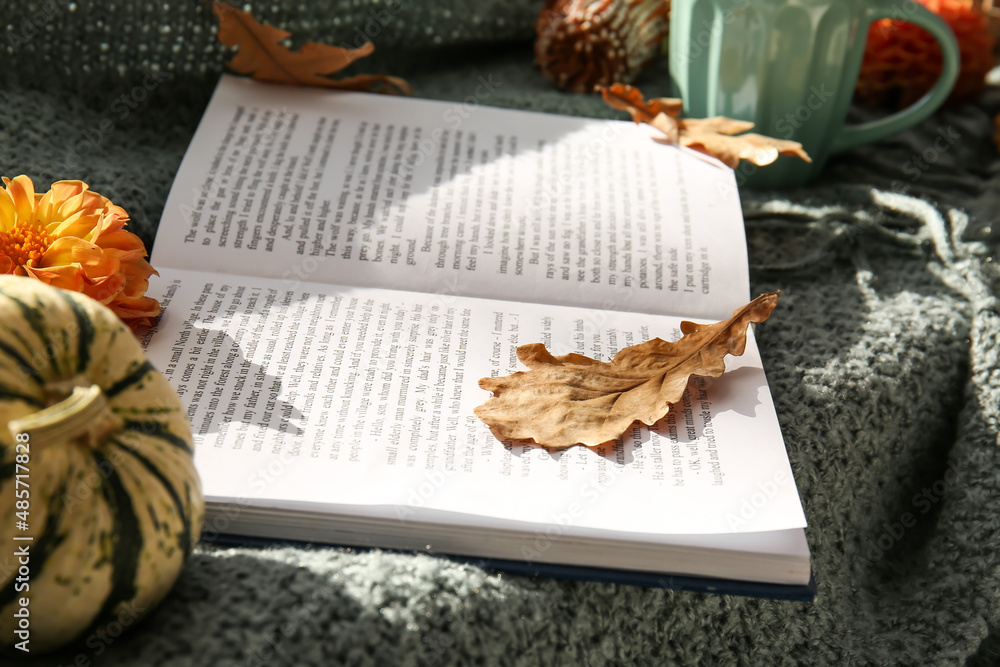 格子上的书籍和秋季装饰，特写