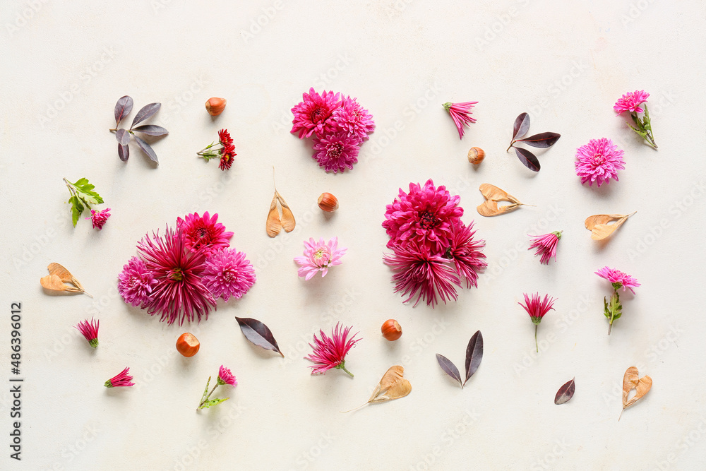 Composition with chrysanthemum flowers on light background
