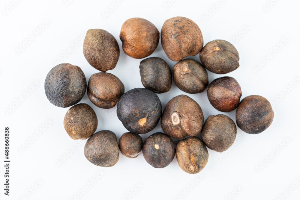Sun-dried round small camellia seeds