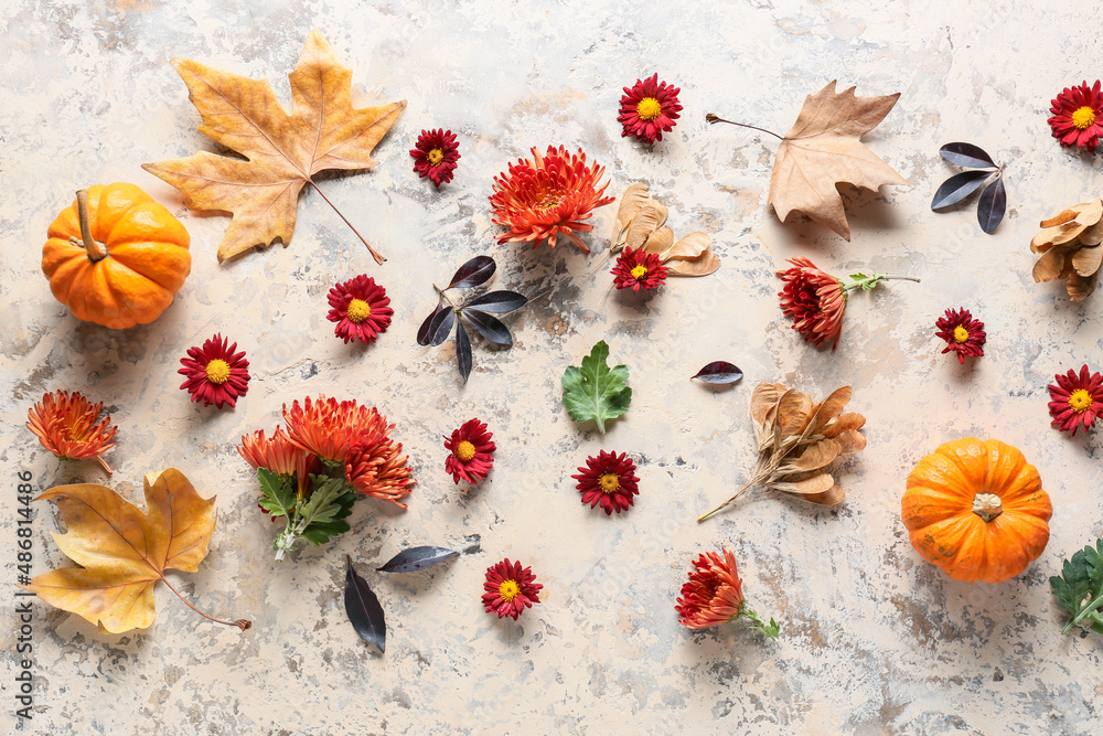 Composition with chrysanthemum flowers, autumn leaves and pumpkins on light background