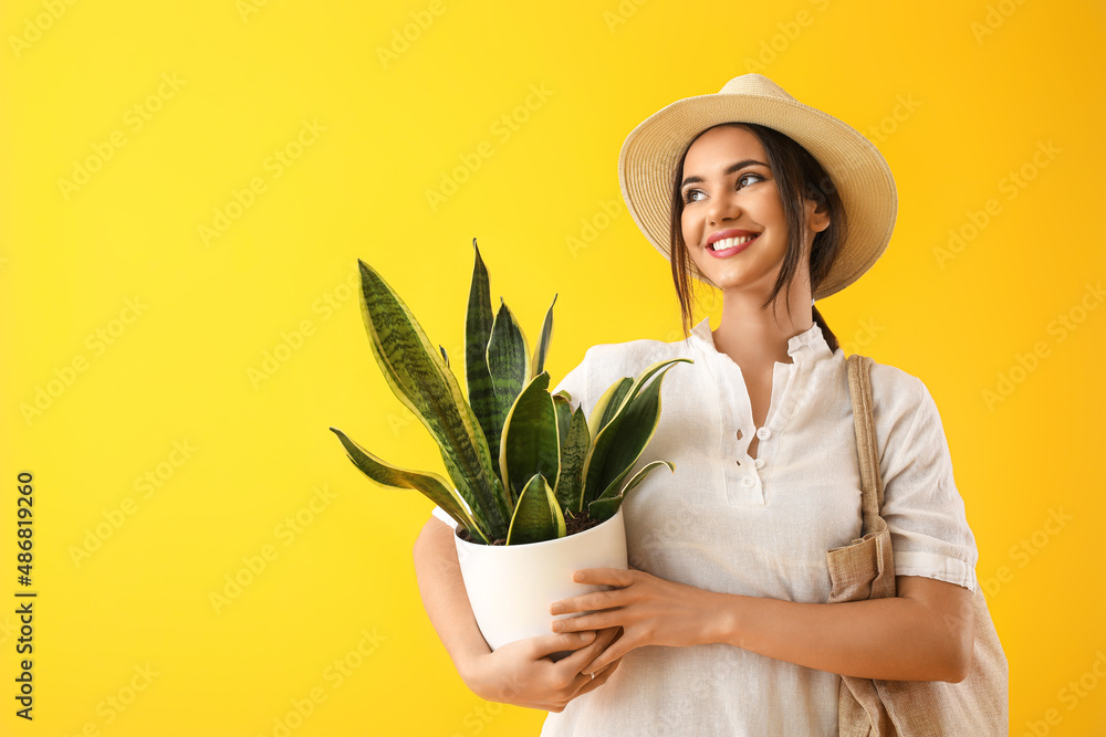 黄色背景带室内植物和环保袋的年轻女子