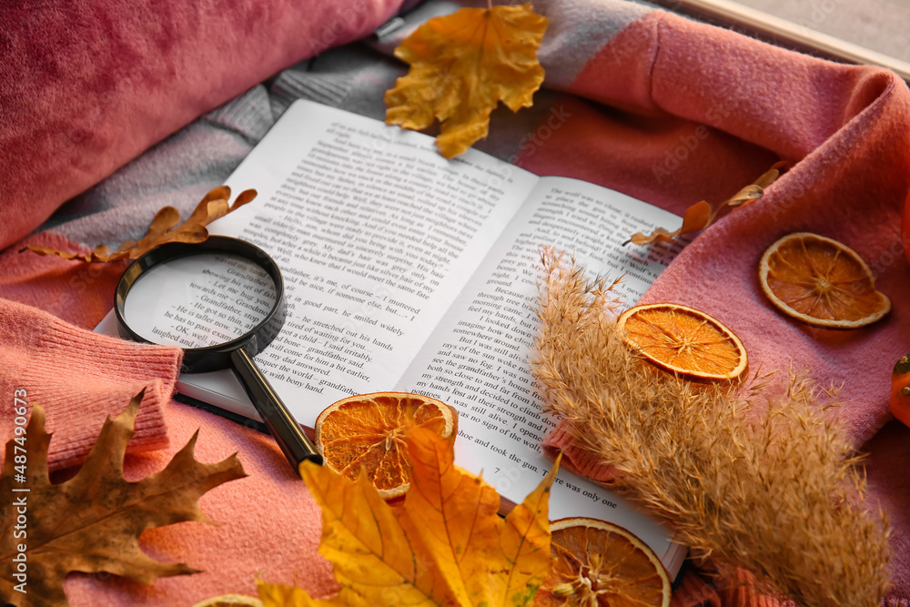 书籍、放大镜和格纹秋季装饰