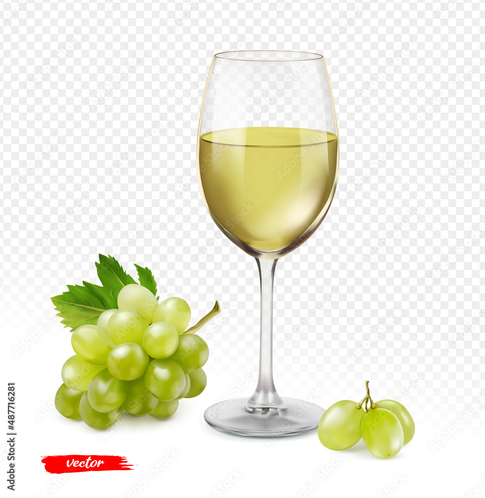一杯葡萄酒和葡萄被隔离在透明的背景上。逼真的矢量插图。