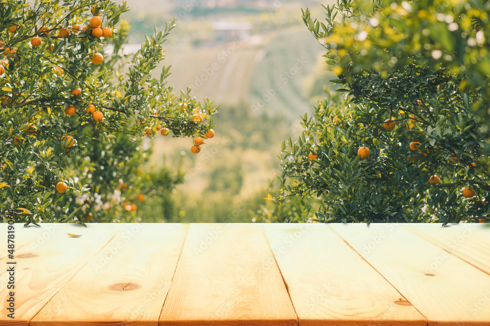 空木桌，橙色树木上有空闲空间，橙色田野背景。用于产品展示mon