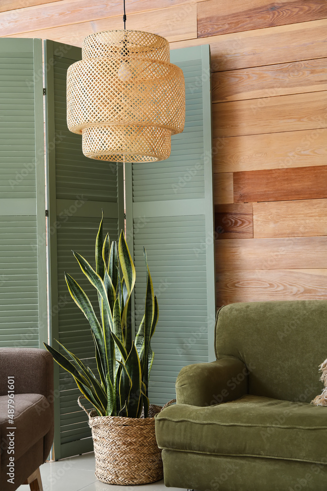 靠近木墙的绿色折叠屏风、室内植物和沙发