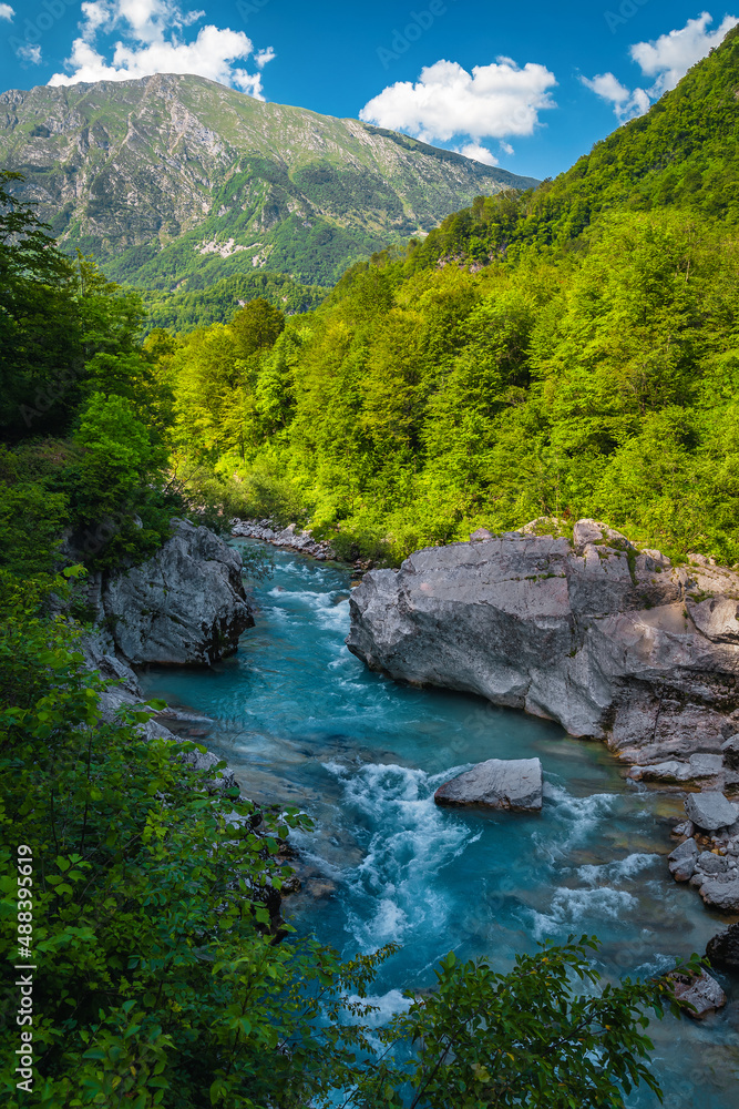 斯洛文尼亚科巴德森林中海岸线多岩石的索卡河