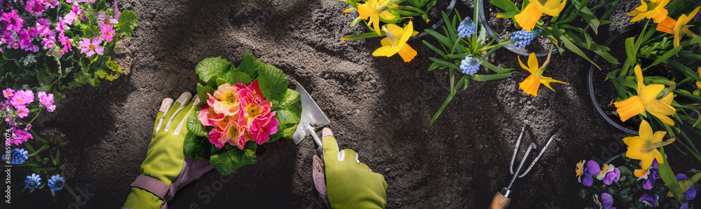 园丁在有泥土或泥土的花盆中手工种花
