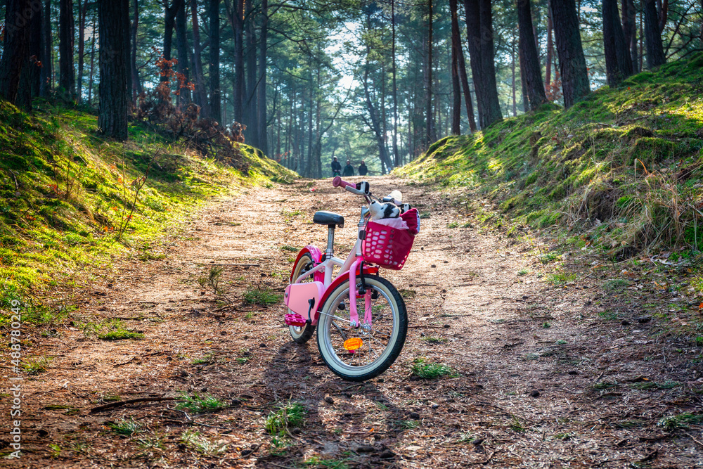 波兰，女孩在树林里的小路上骑自行车