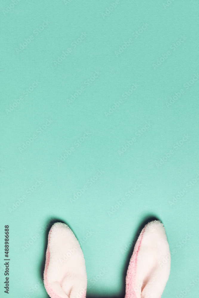 Plushy bunny ears  on bright background. Easter minimal concept