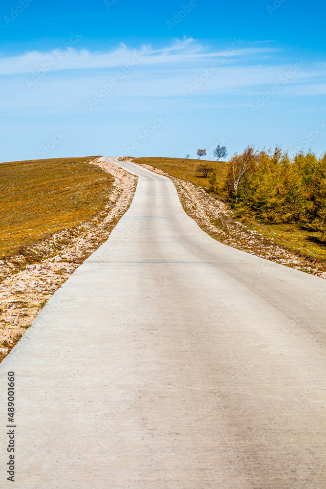 秋季空旷的水泥路和有黄色森林的山脉