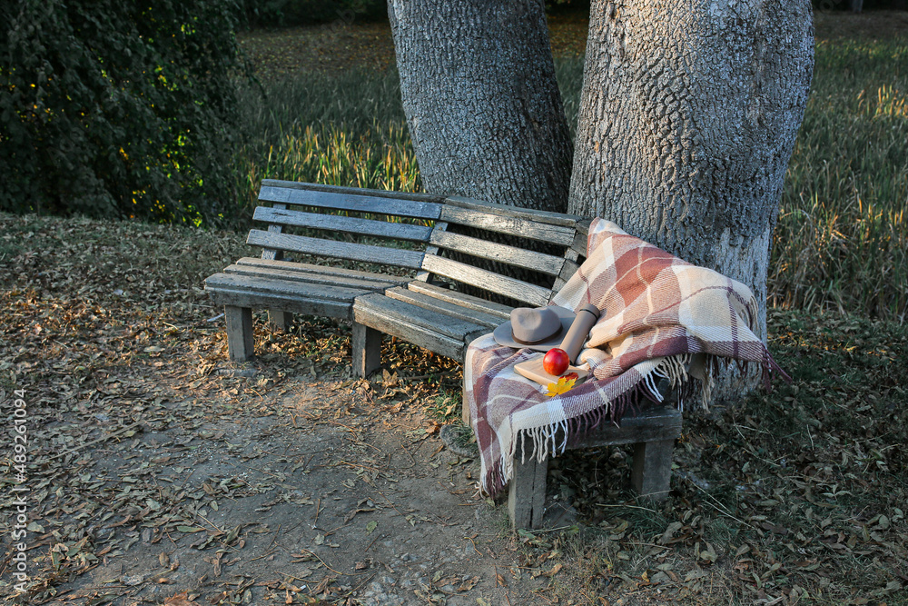 Composition with thermos bottle, book, felt hat and plaid on wooden bench in park