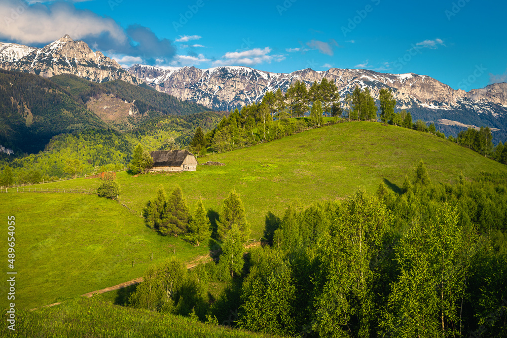 Green fields and forests on the slopes and snowy mountains