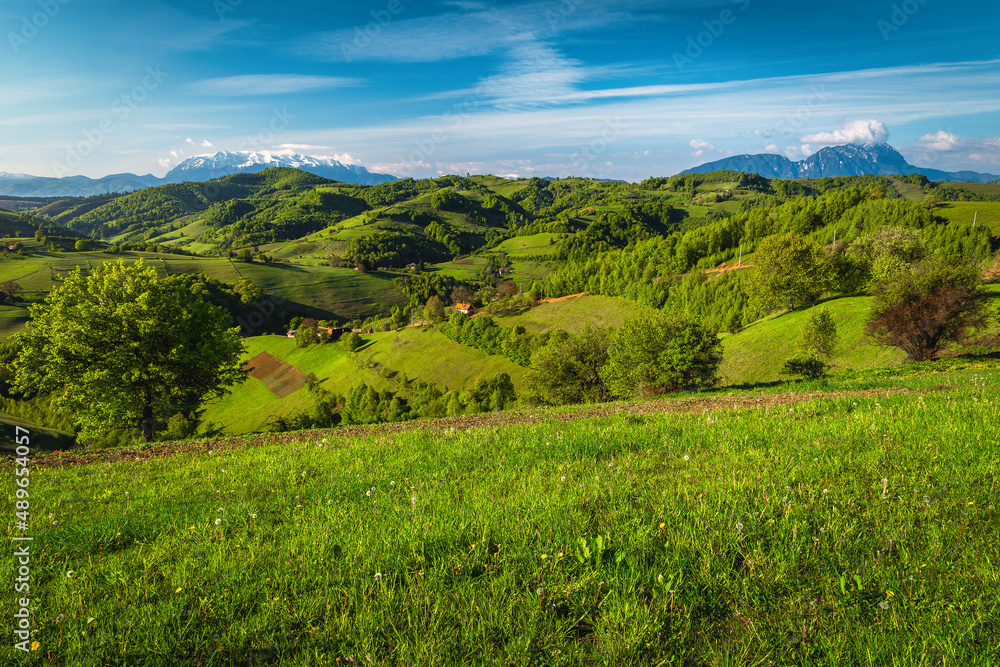 罗马尼亚霍尔巴夫的农田和带雪山的绿地
