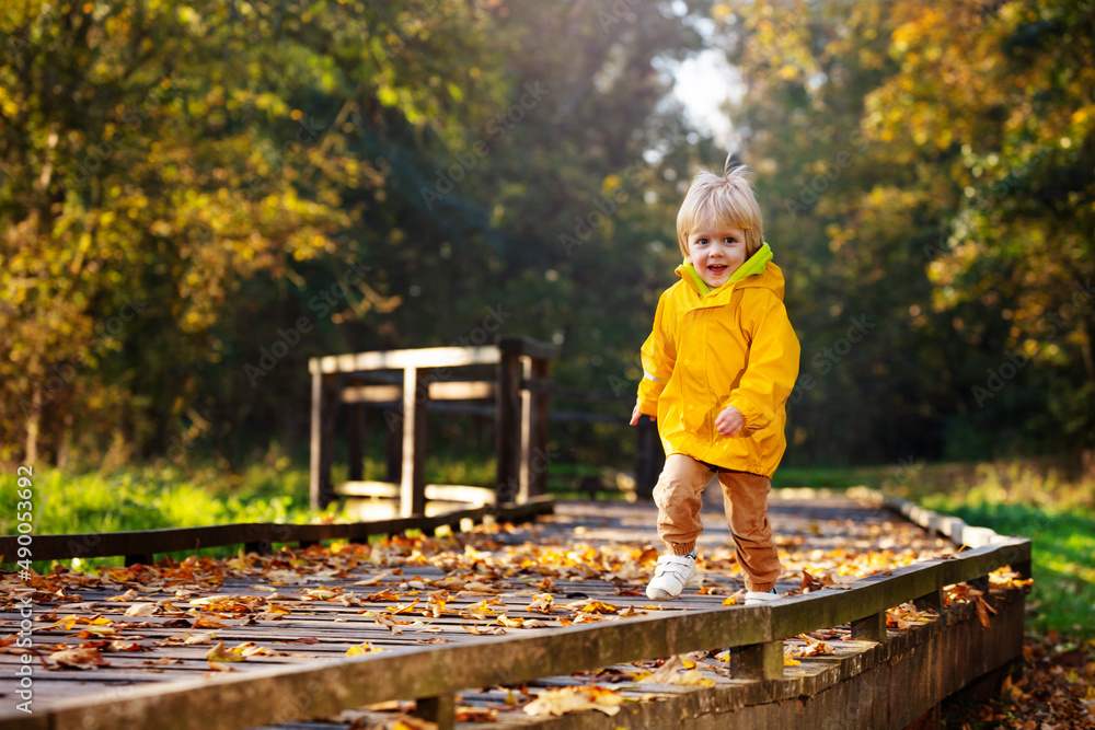 快乐的蹒跚学步的孩子穿着黄色外套在秋季公园跑步