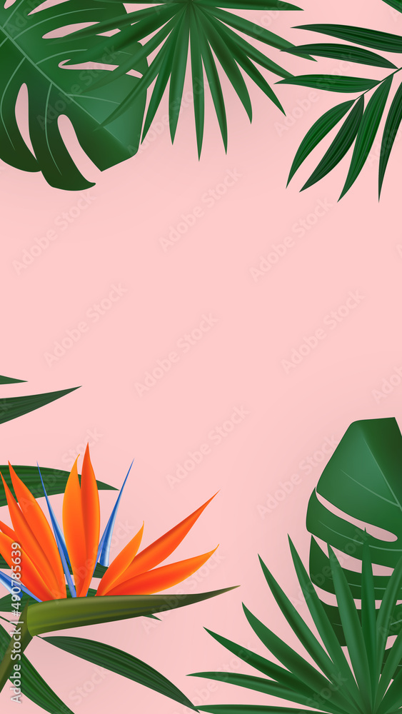 天然逼真的绿色棕榈叶，以Strelitzia花为热带背景。插图