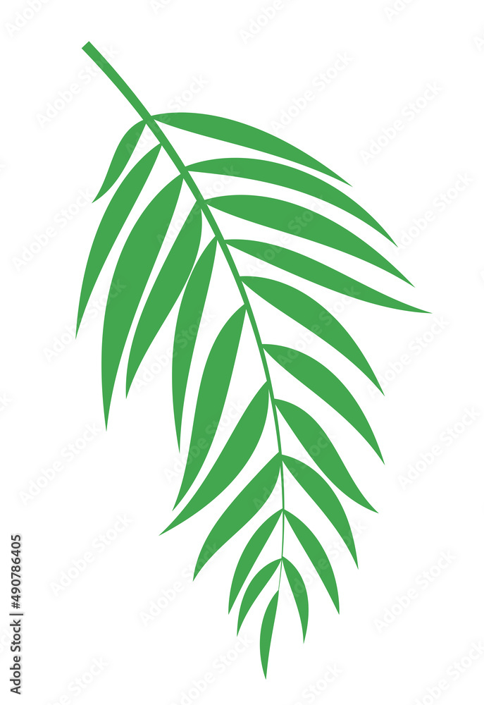 抽象逼真的绿色棕榈叶。设计元素。插图