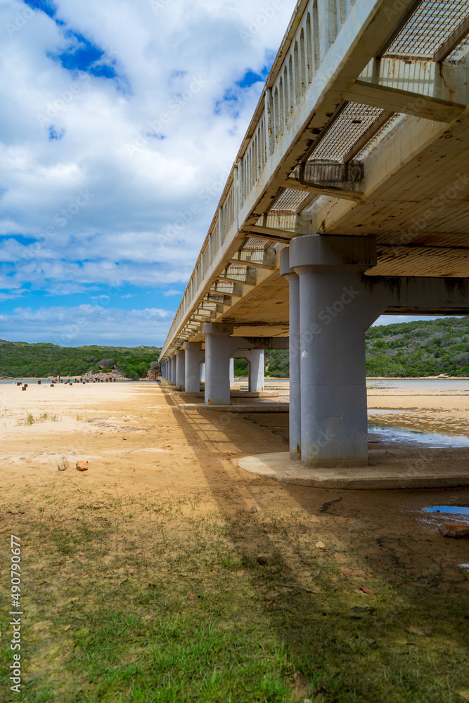 阳光明媚的海滩上一座木桥的垂直镜头
