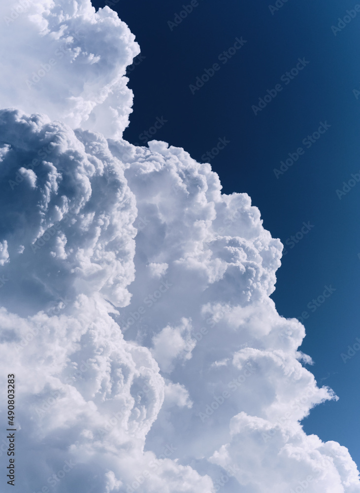 阳光明媚的天空中浮云的垂直拍摄