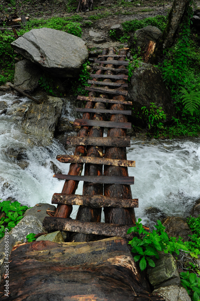 野生河流上的木桥