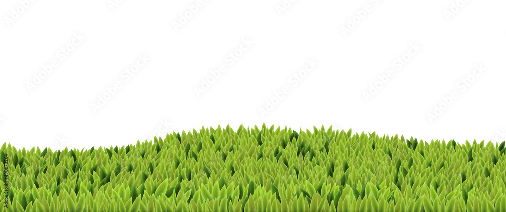 绿色抽象背景，草或苔藓。